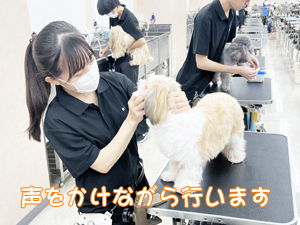 毎日の歯みがきで健康を守ります☆